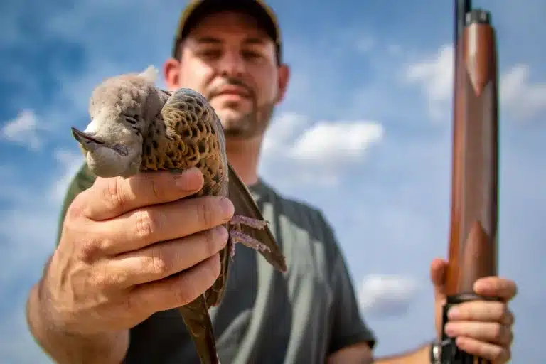 Cazador con una tórtola.
