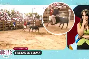 vaquilla embiste reportero en directo