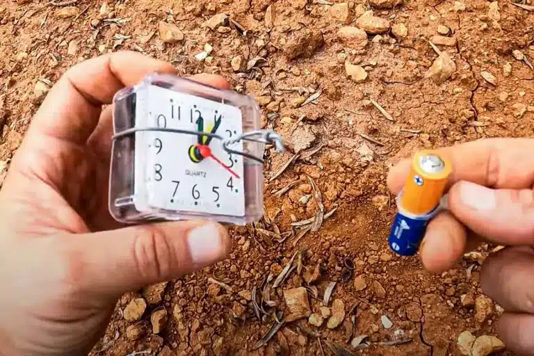 El reloj despertador y la pila.