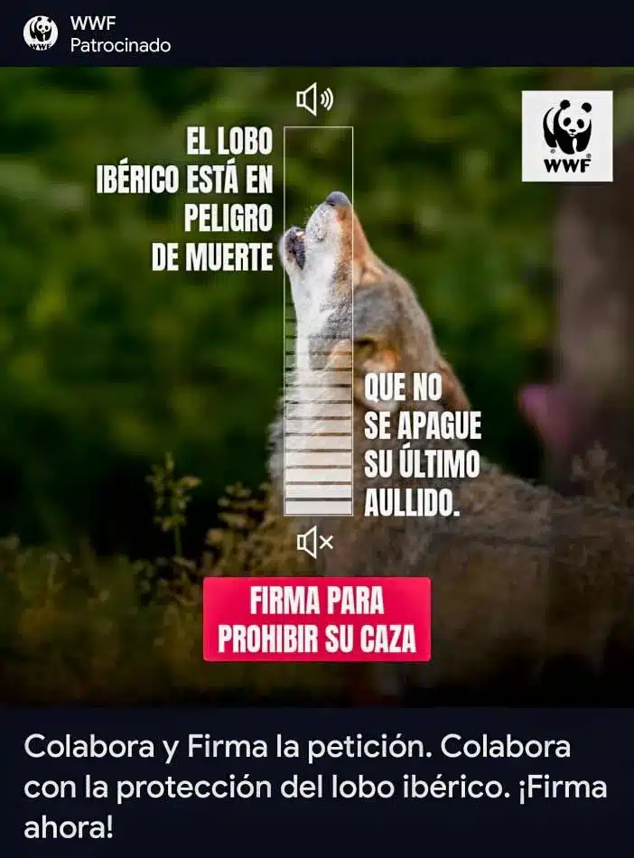 Campaña publicitaria de WWF contra la caza del lobo.