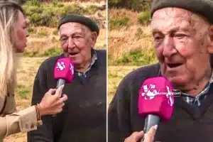 anciano León reflexión incendios