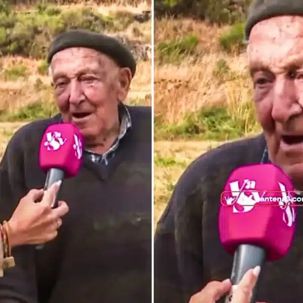 anciano León reflexión incendios