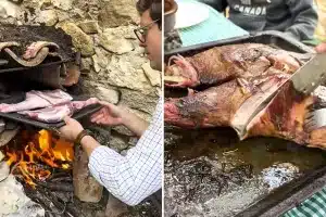 cazador asado campo truco