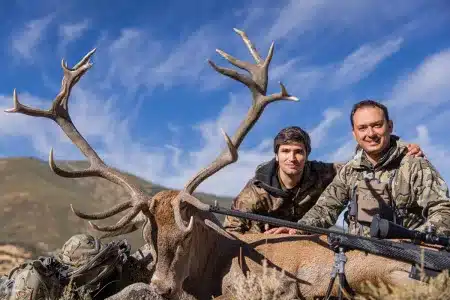 Ciervo 20 puntas Gredos