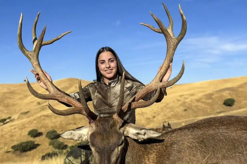 Ciervo Yolanda Collados