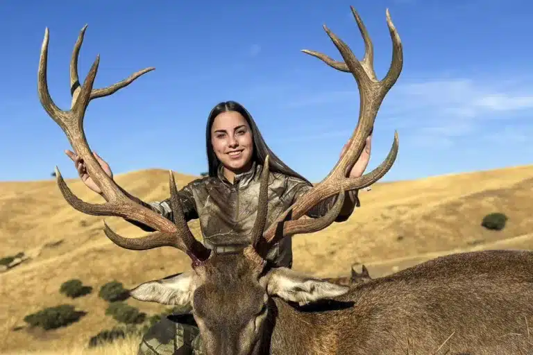 Ciervo Yolanda Collados