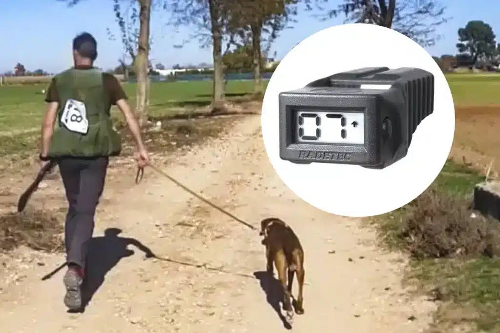 Contador disparos campeonatos caza menor y becadas