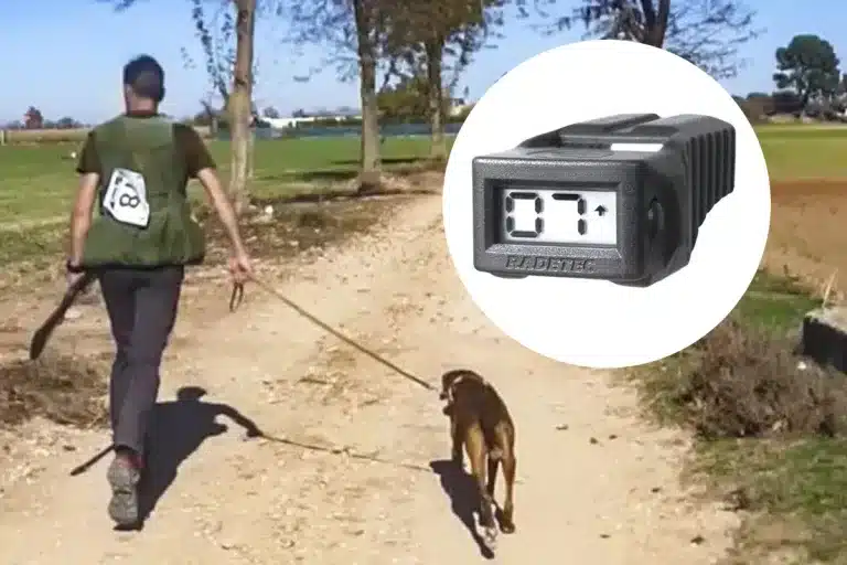 Contador disparos campeonatos caza menor y becadas