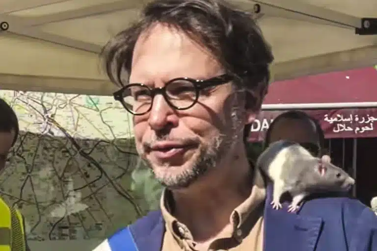 eurodiputado animalista ratas