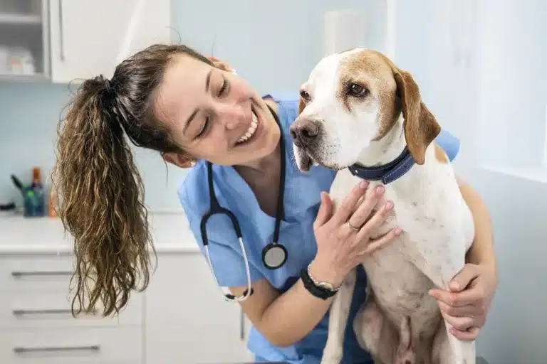 Extremadura vacuna rabia