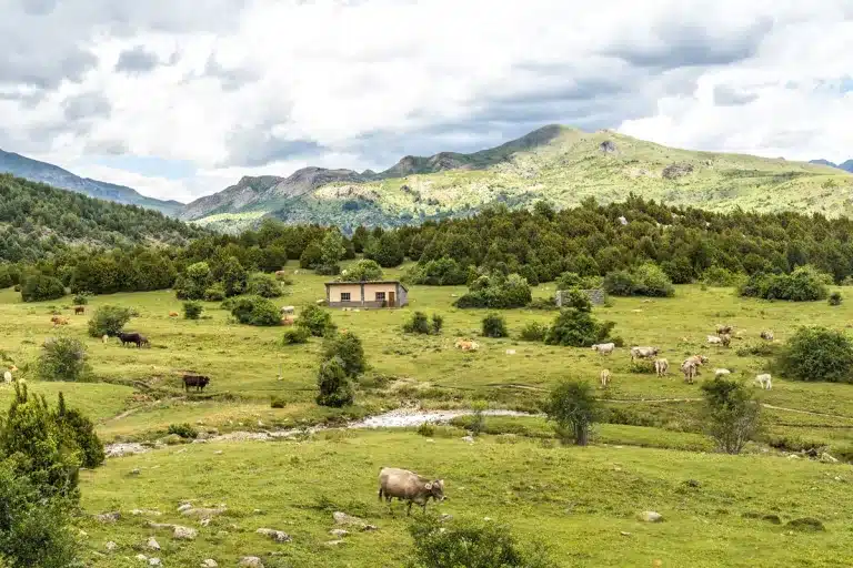 fincas rústicas Huesca subasta