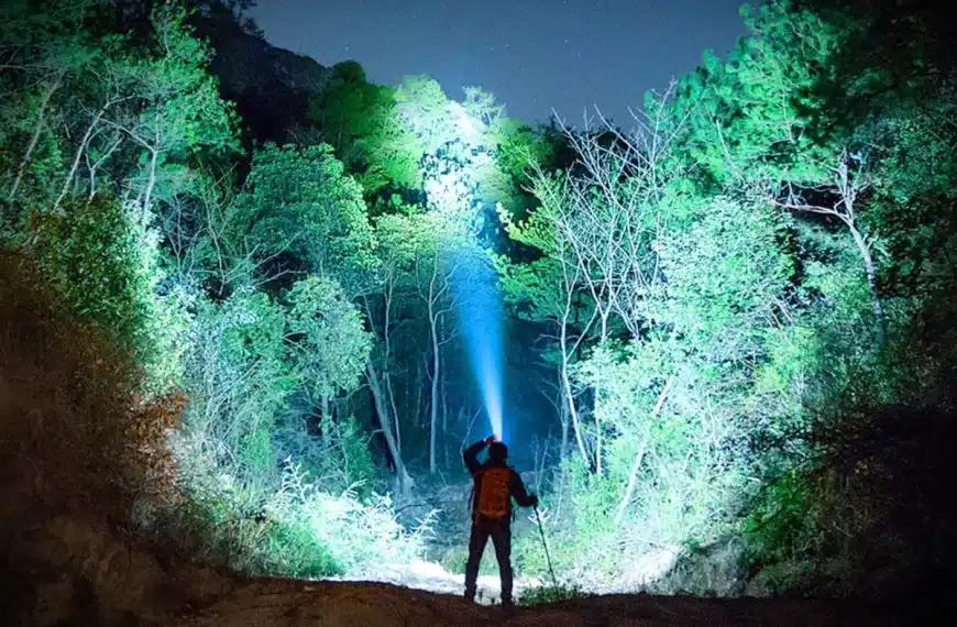 frontal más vendido Amazon