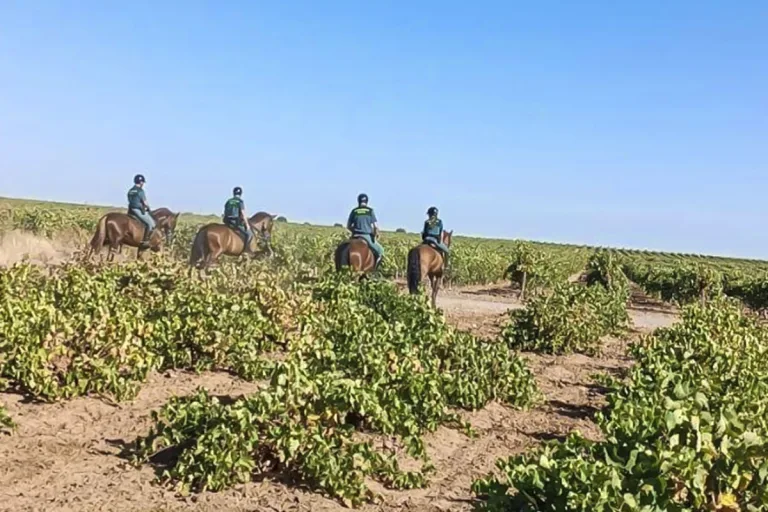 Guardia Civil a caballo viñas