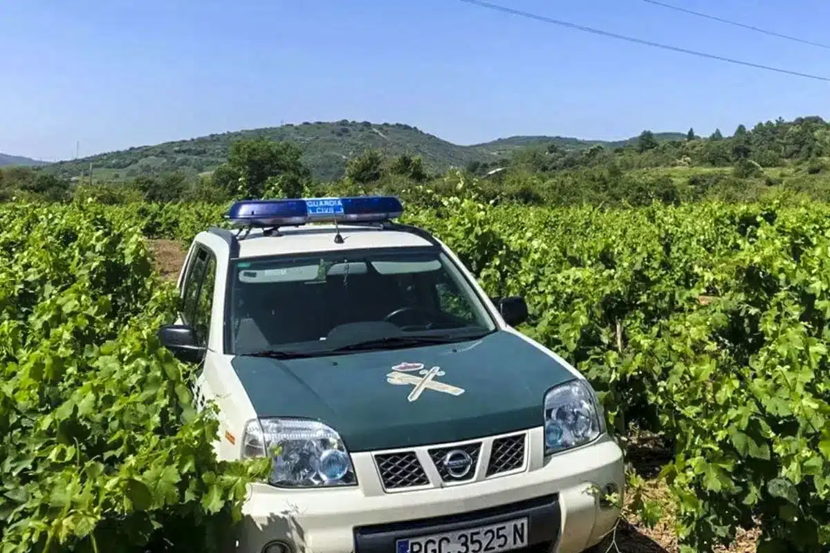 Guardia Civil viñedos Valladolid