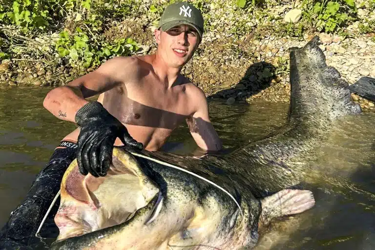 Monstruo de río capaz comerse perro