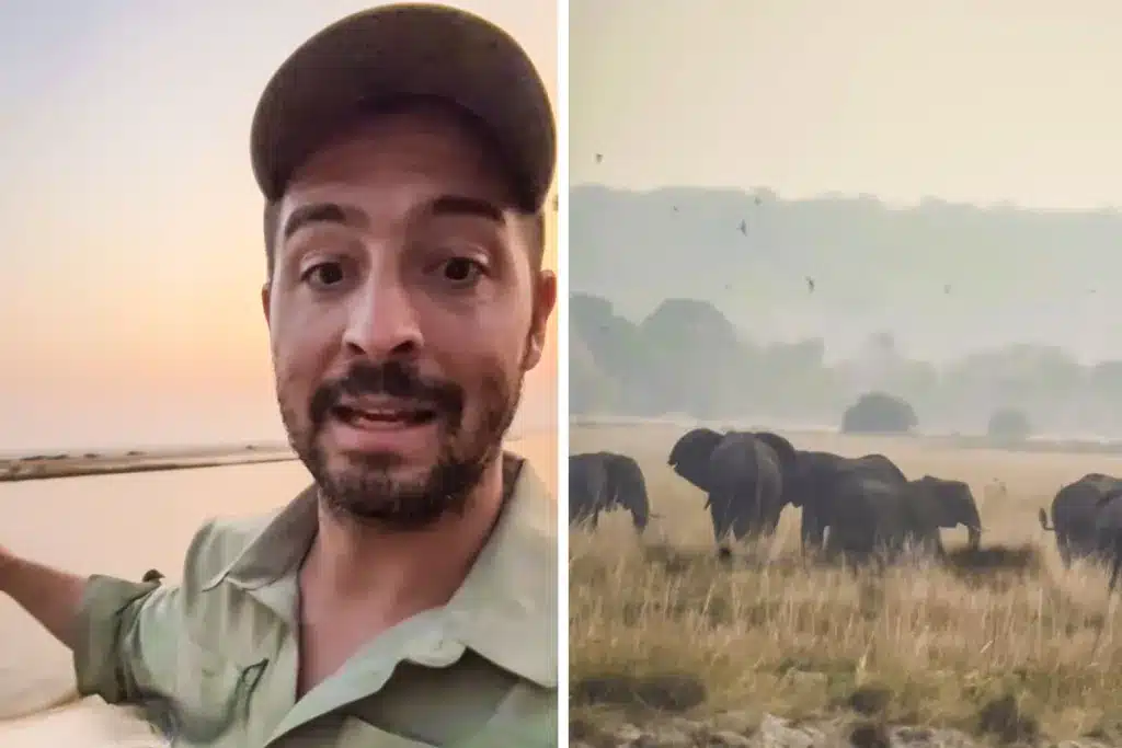 Pedro Ampuero cazar elefantes