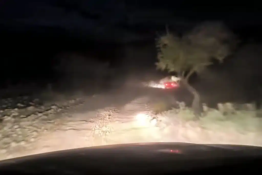 persecución furtivos