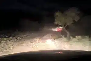 persecución furtivos