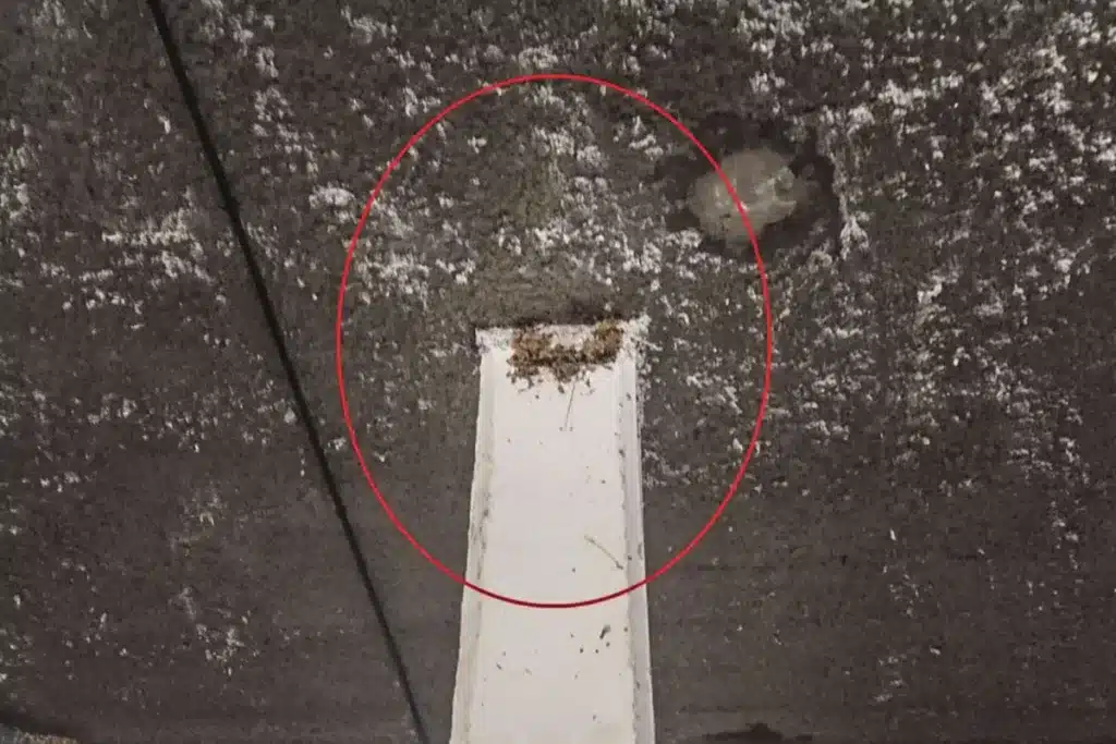 prisión nidos de golondrina