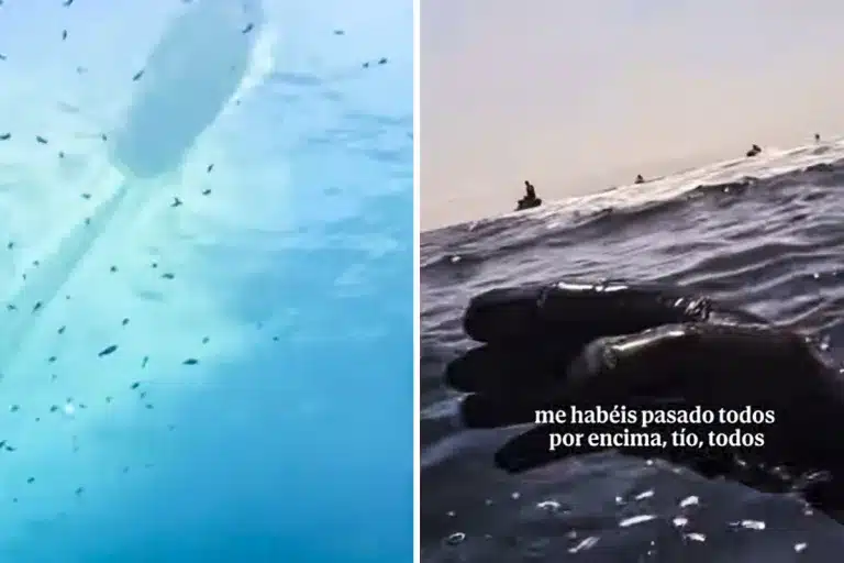 regatista motos agua pesca submarina