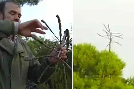 SISTEMA-CAZA-ZORZALES