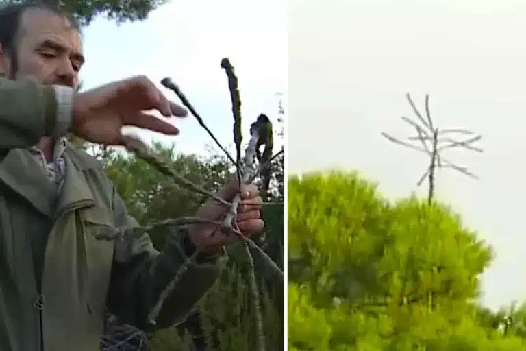 SISTEMA-CAZA-ZORZALES