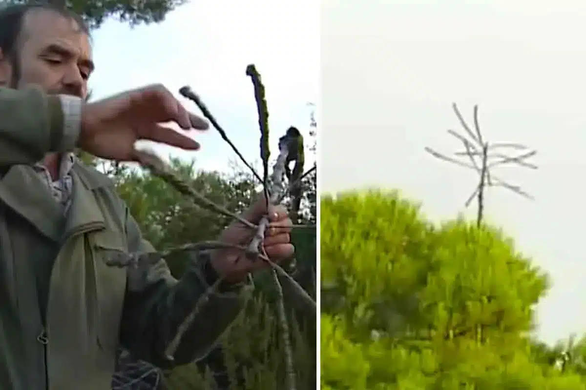 SISTEMA-CAZA-ZORZALES