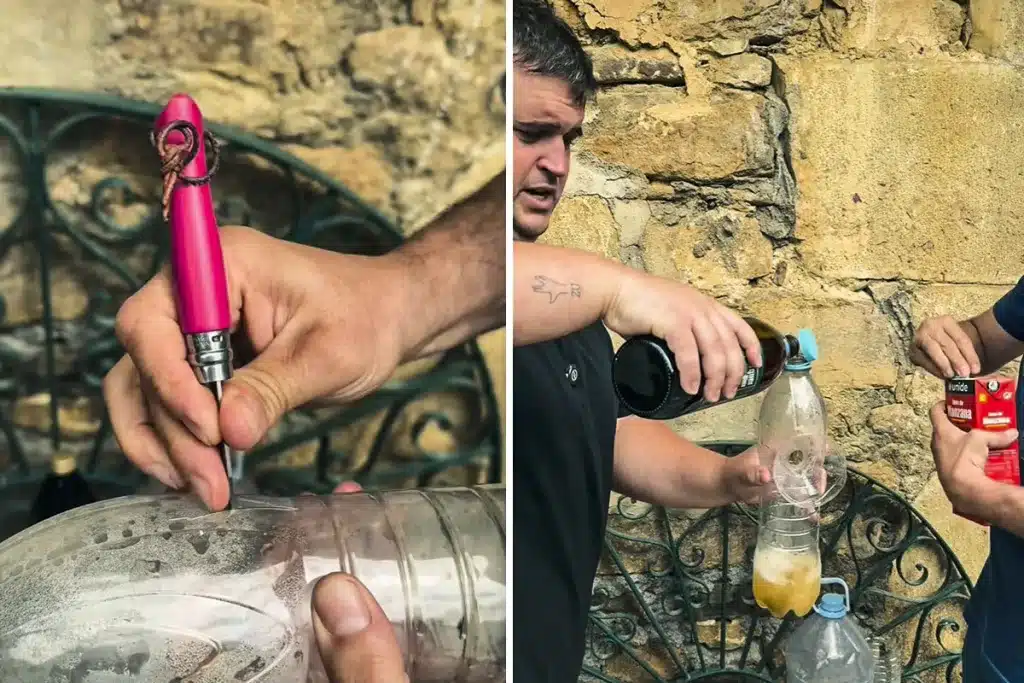 truco trampa avispas moscas polillas