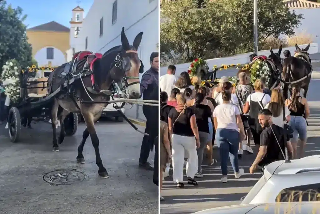 Último deseo pastor sevillano carro mulas