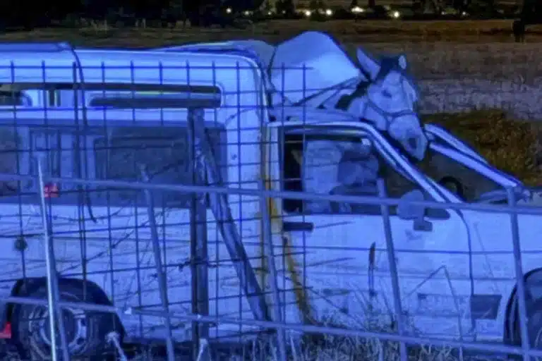 Accidente furgoneta caballo Salamanca