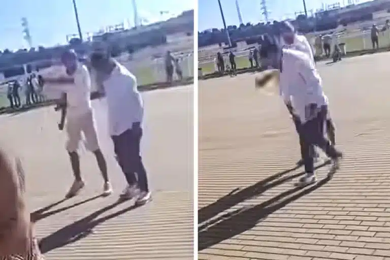 agreden presidente de la Federación Española de Galgos