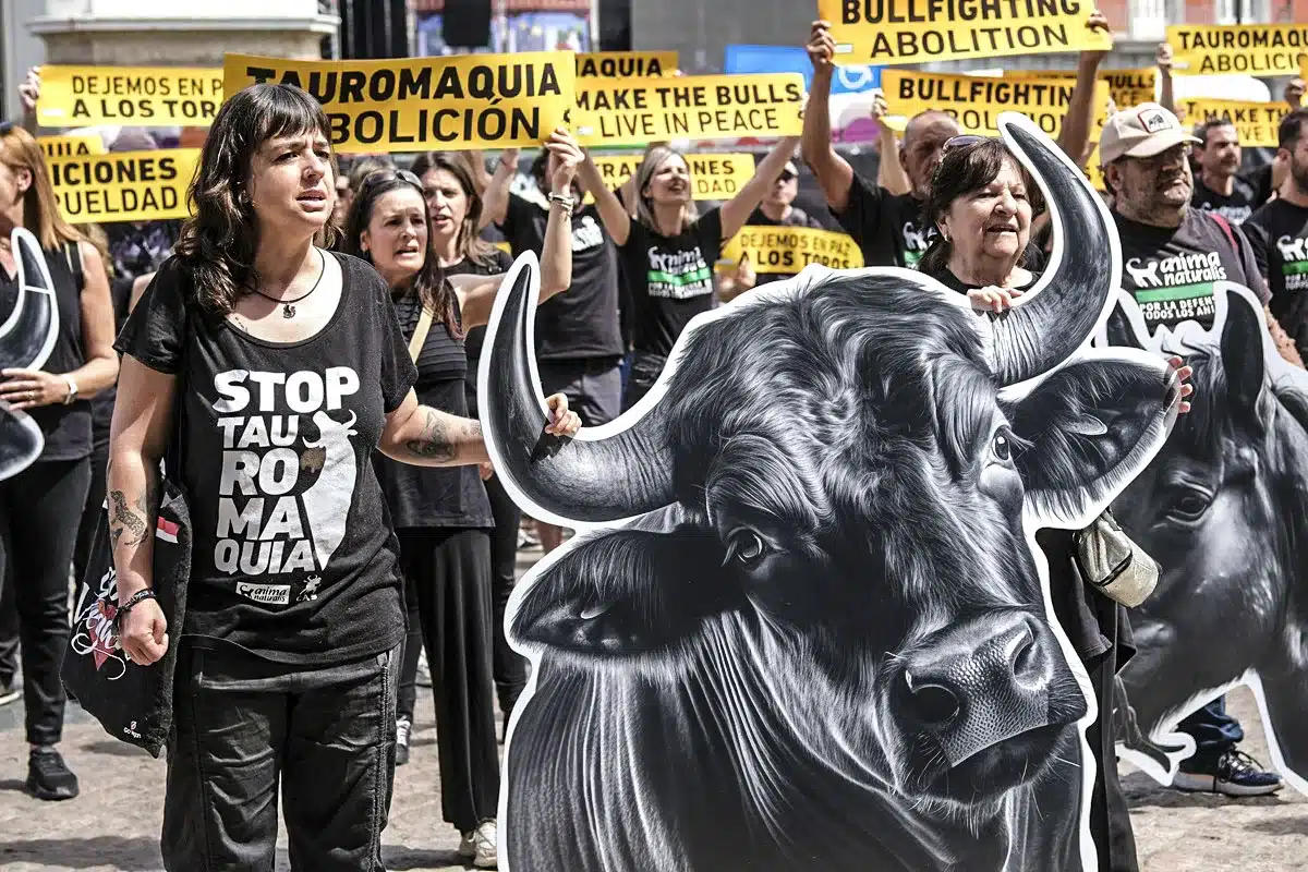animalistas tauromaquia