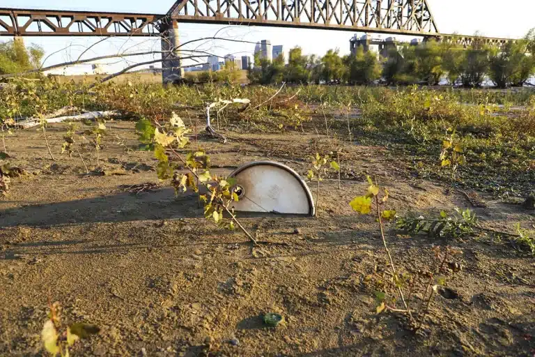 bidón millones Pablo Escobar