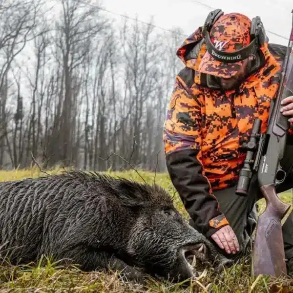 Castilla y León elimina precinto jabalí