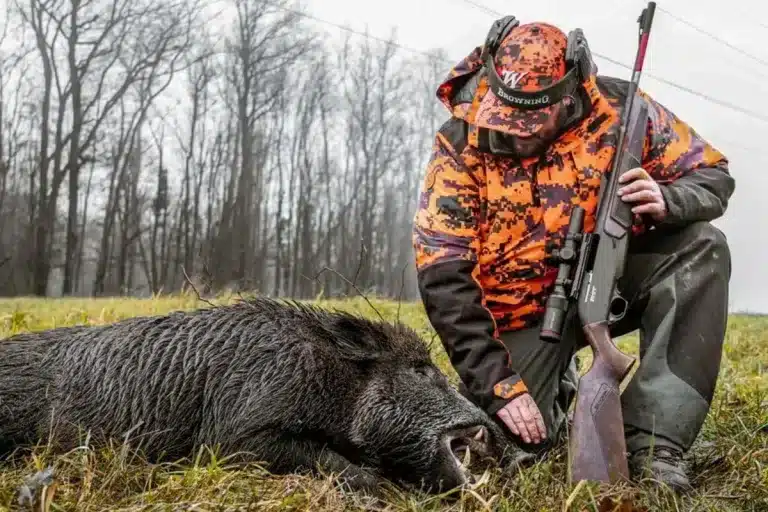Castilla y León elimina precinto jabalí