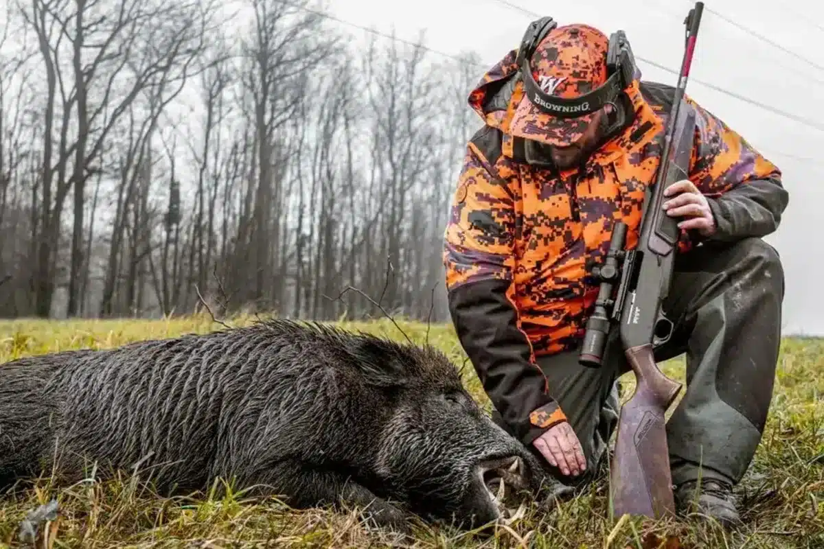 Castilla y León elimina precinto jabalí
