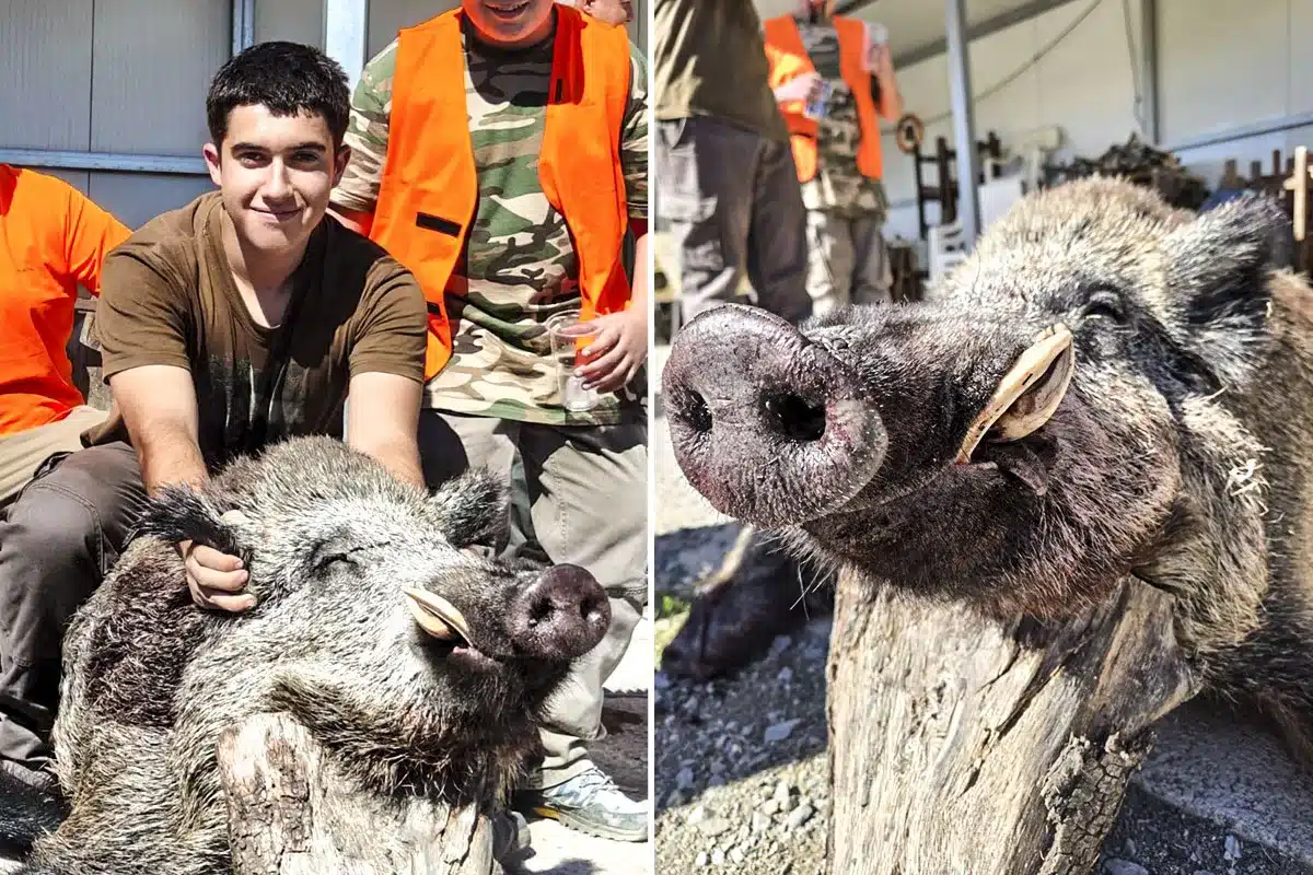 cazador 17 años caza mejor jabalí temporada Cataluña
