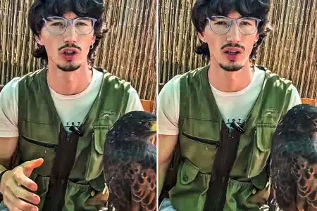 cetrero jóvenes cazadores