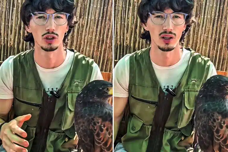 cetrero jóvenes cazadores