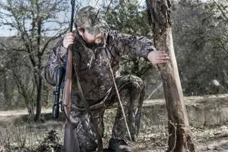 Cómo recechar jabalíes