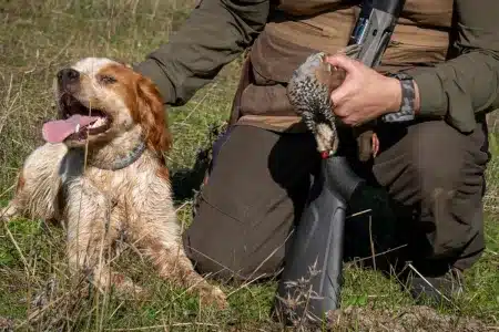 cuántas perdices cazar