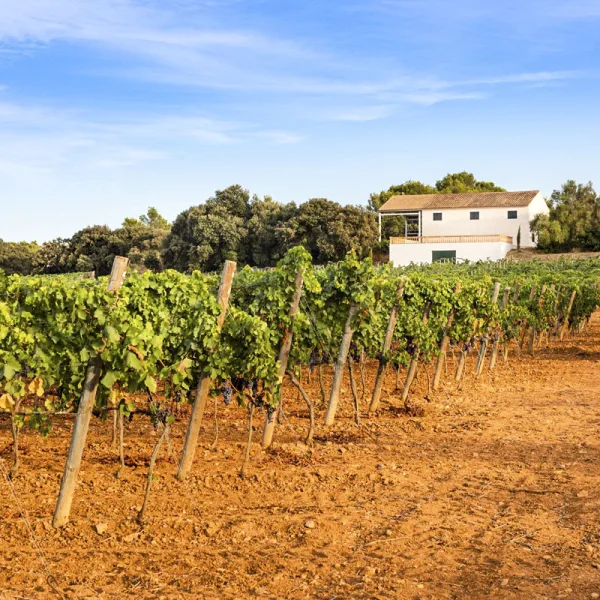 finca rústica venta Hacienda