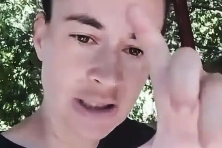 ganadera denuncia ataque jabalíes corderos