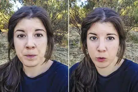 ganadera responde criticas apicultor oso