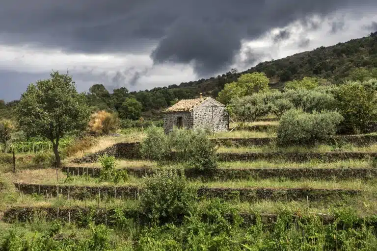 Hacienda vende fincas