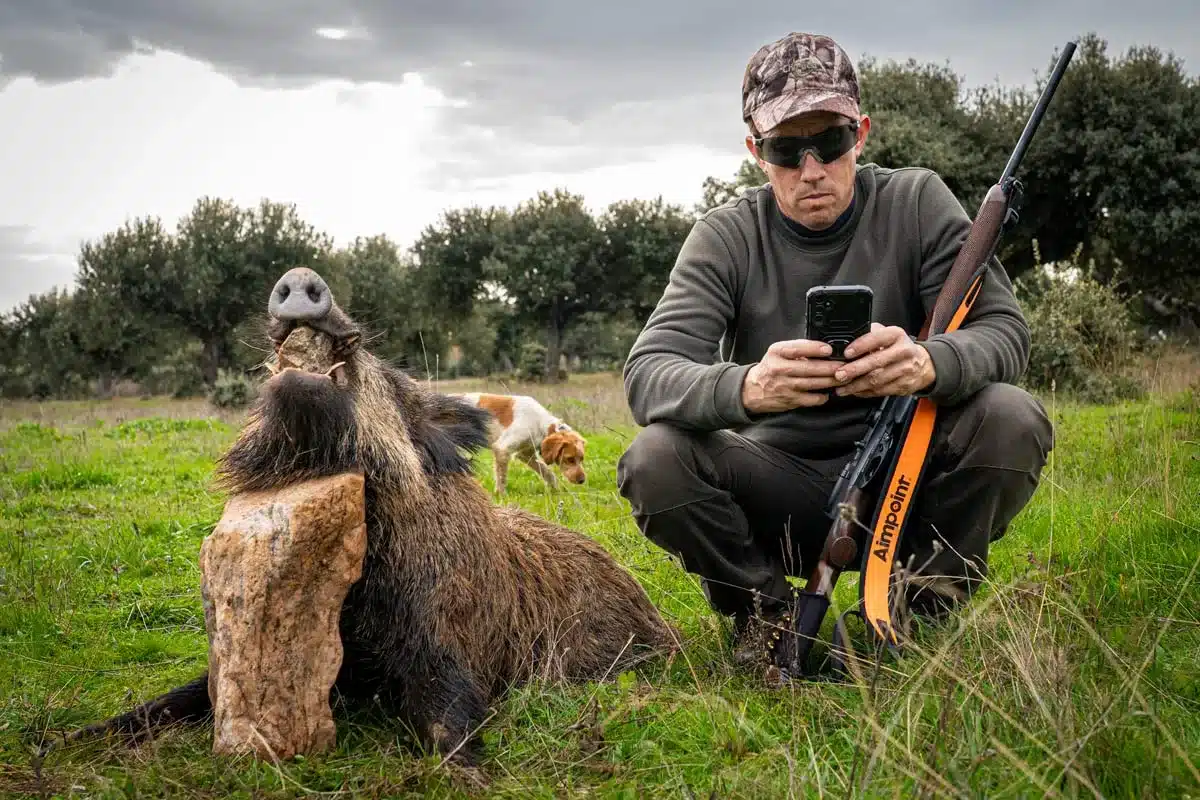 jabali-castilla-y-leon