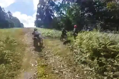 motorista encuentra frente a frente con cazador lección