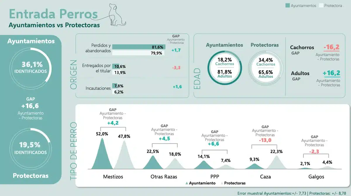 Las cifras aportadas por las protectoras sobre perros de caza y galgos no siguen el patrón del resto de razas en la comparativa con los ayuntamientos.