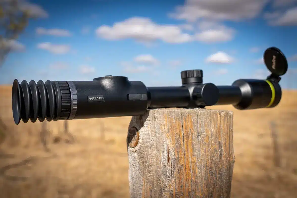 Detalle del Pixfra Pegasus P435.