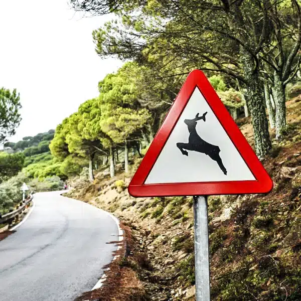 señal tráfico cruce animales